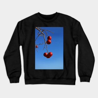 The Last Temptations Crewneck Sweatshirt